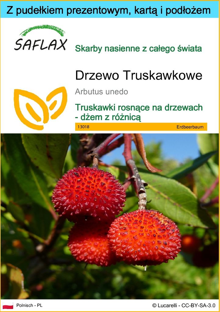 SAFLAX - Zestaw prezentowy - Drzewo Truskawkowe - 50 Zdjęcie produktu 