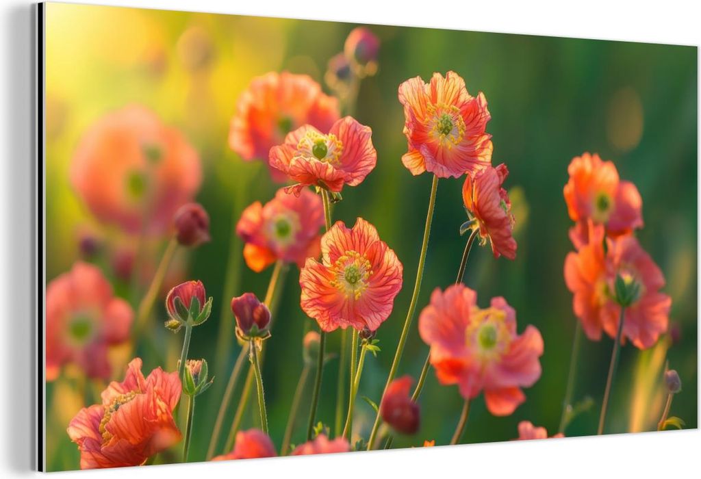 MuchoWow Wanddekoration Metall Metallbild Wandkunst 120x60 cm Blumenfeld - Sonnenstrahlen - Orange MuchoWow Aluminium Gemälde - Metalbilder