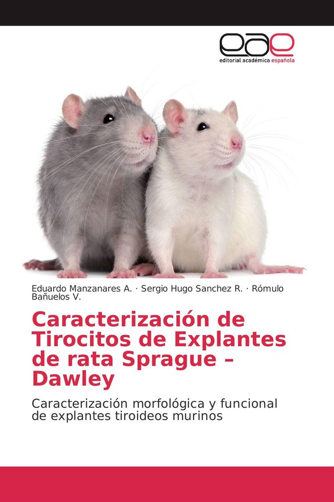 Caracterización de Tirocitos de Explantes de rata Sprague - Dawley