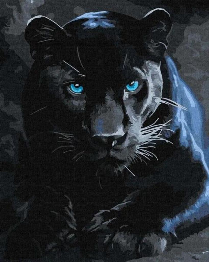 Malen nach Zahlen – Wilde Panter, 40x50 cm – Ideyka Produktbild 