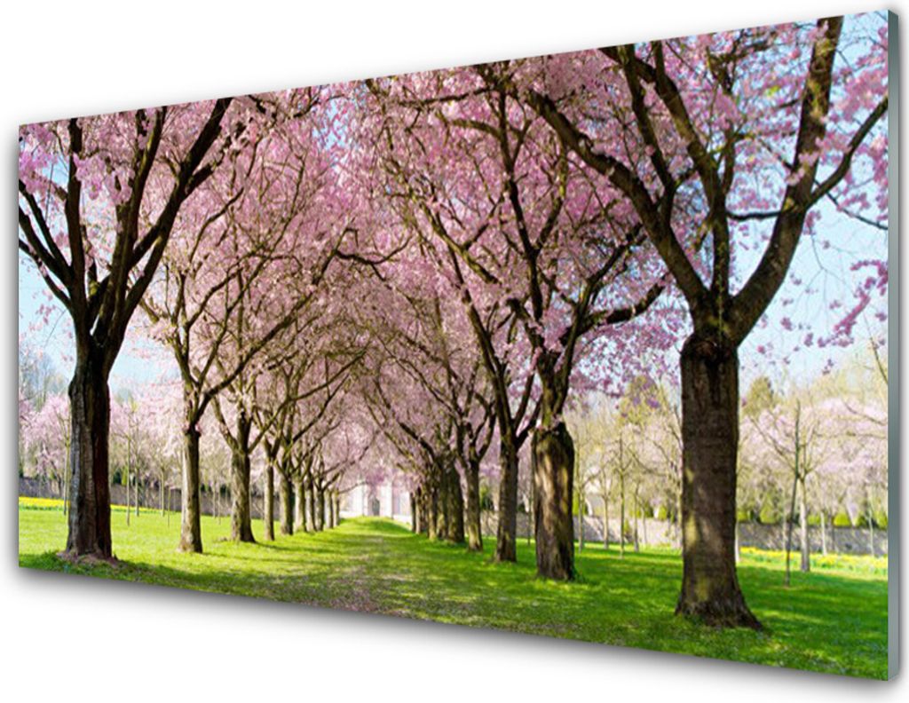Acrylglasbilder 100x50 Wandbild Druck Fußpfad Bäume Natur