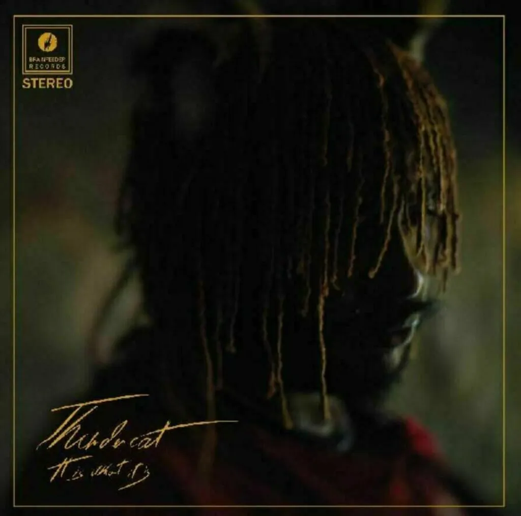 Vinyle Thundercat It Is What It Is LP pour Platine Musique Salon