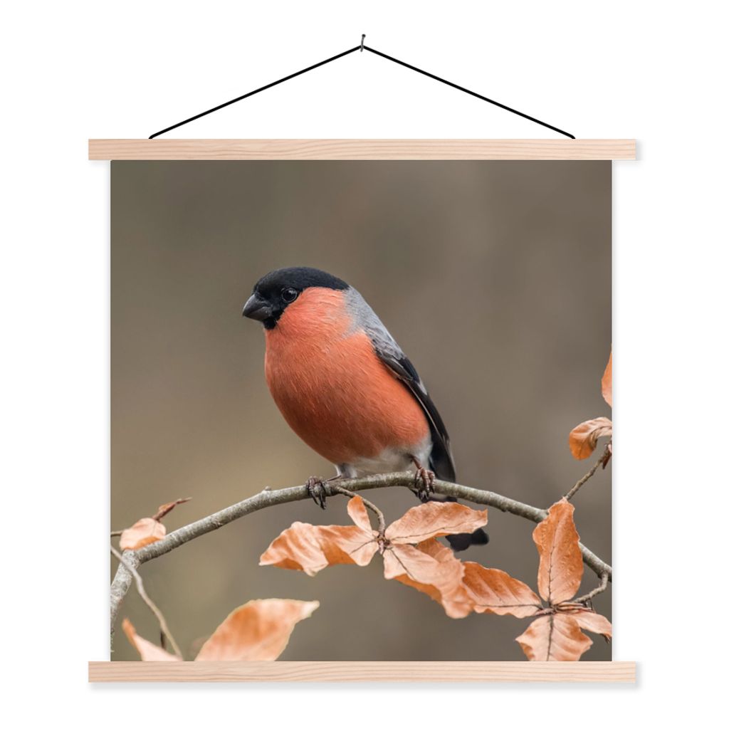MuchoWow Textilposter Vogel - Laub - Herbst - Gimpel - 120x120 cm mit holzfarbenen Rahmen - Textil-Poster