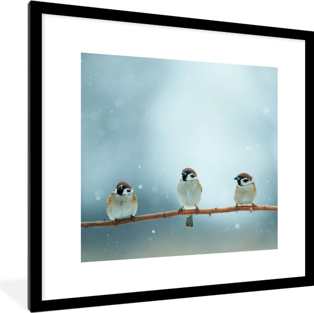 MuchoWow Gerahmtes Poster Vögel - Spatz - Schnee - Winter 40x40 cm - Poster mit Schwarzem Bilderrahmen Wandposter Rahmen Foto Bilder - Poster - ...