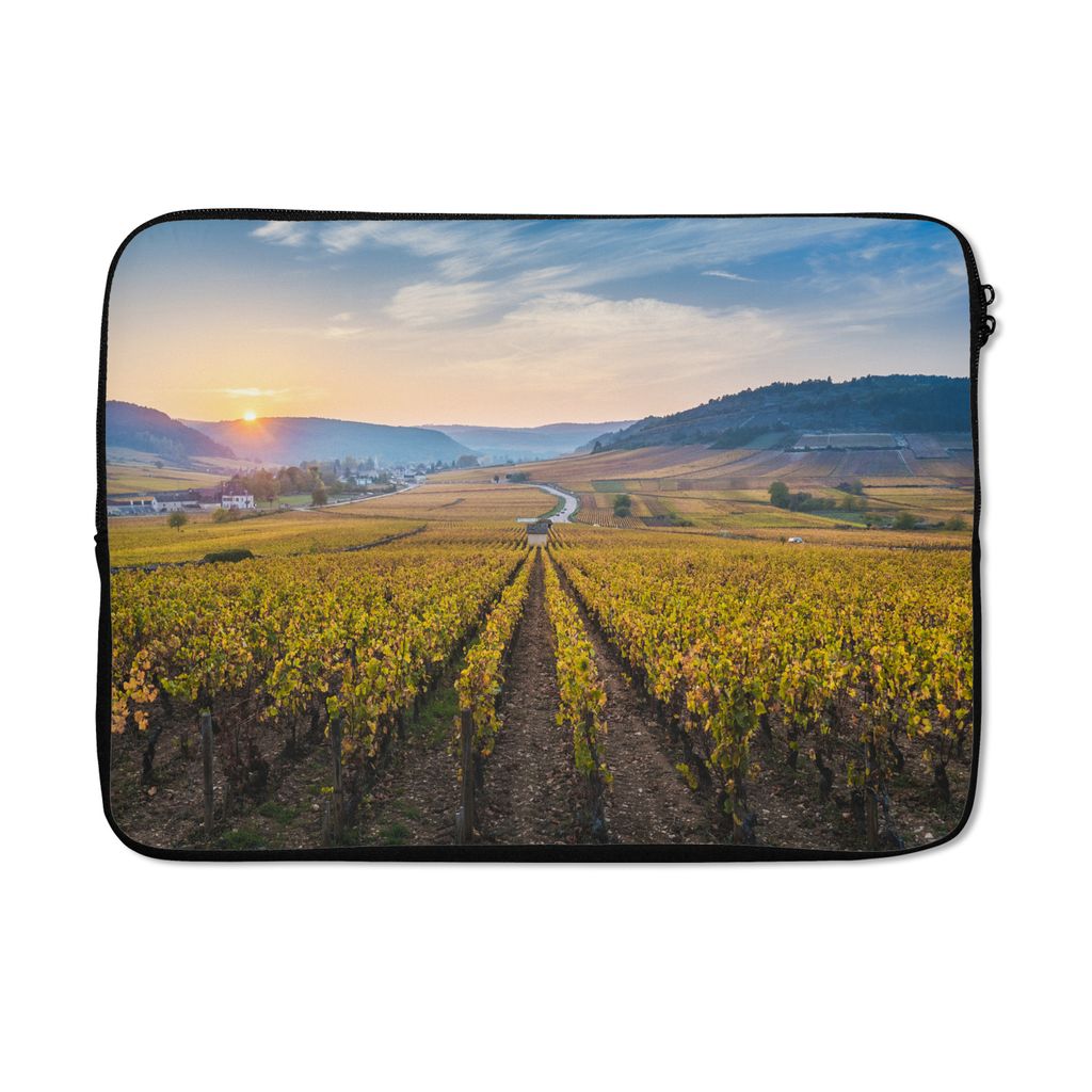MuchoWow Laptop Hülle 14 ZollFrankreich - Weinberg - Sonne Laptoptasche - Laptoptasche - Stoßsicher - Schutzhaube