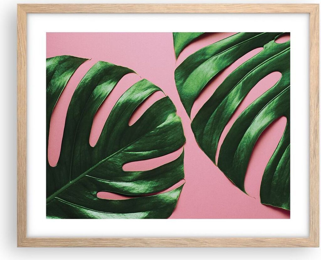 Gerahmtes Poster - Rahmen in heller Eiche - Monstera Blatt Rosa - 50x40 cm - Wand Bild - Wanddeko - Wandbilder - Kunstposter - Wandposter - Bilderr...