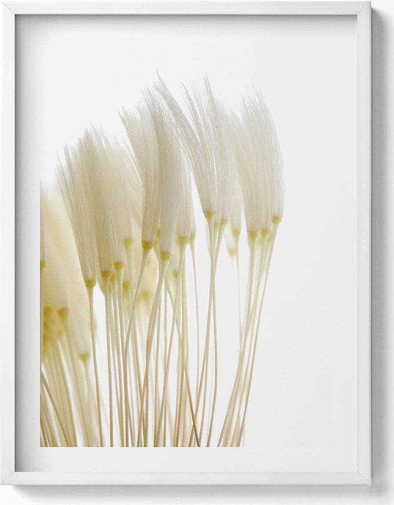 Weiße zarte Gräser– Wandbild mit Rahmen – Gerahmtes Bild – Wanddekoration – 60x80 cm – Weiß Rahmen