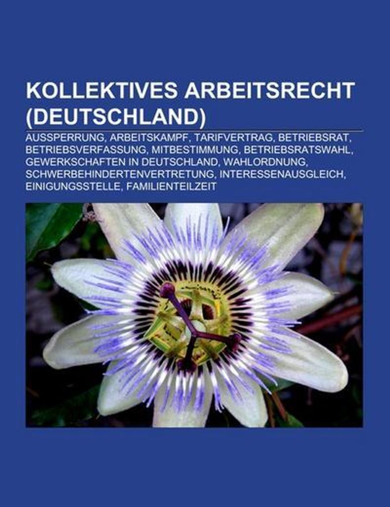 Kollektives Arbeitsrecht (Deutschland)