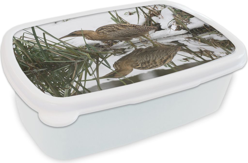 KitchenYeah Lunchbox Brotzeit Brotdose 17x11 cm Rohrdommel auf der Jagd im Wasser Kinder Brotzeitdose - Lunch Box - Kinder - Sandwich-Box - Schul...