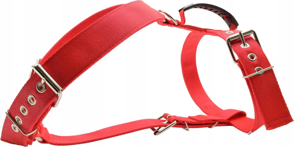 Nelson-X Power XL: Pettorina per Cani Grandi IPO - Acquista Online