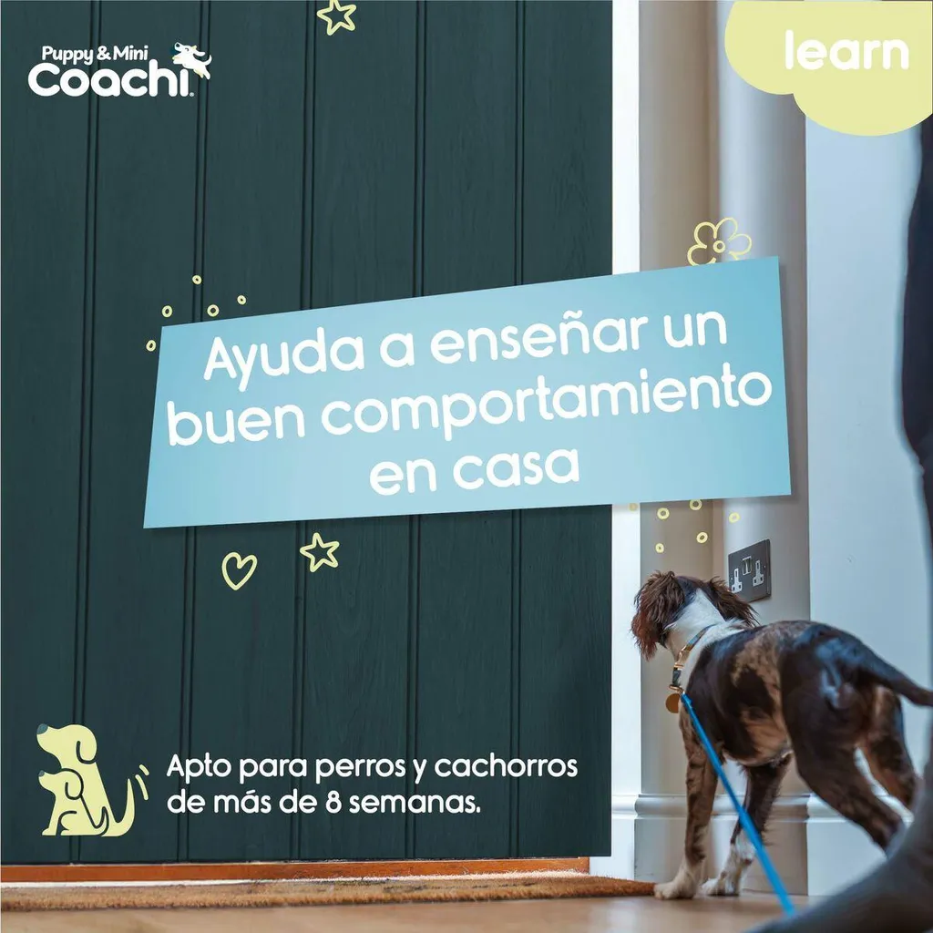 Pettorina per cani Coachi - 3