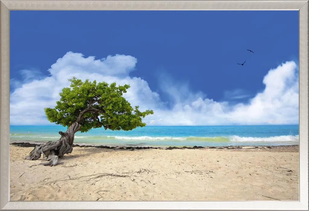 Spiagge - Poster - Albero Divi Divi + cornice rimovibile, Shinsuke® Maxi alluminio argento, vetro acrilico