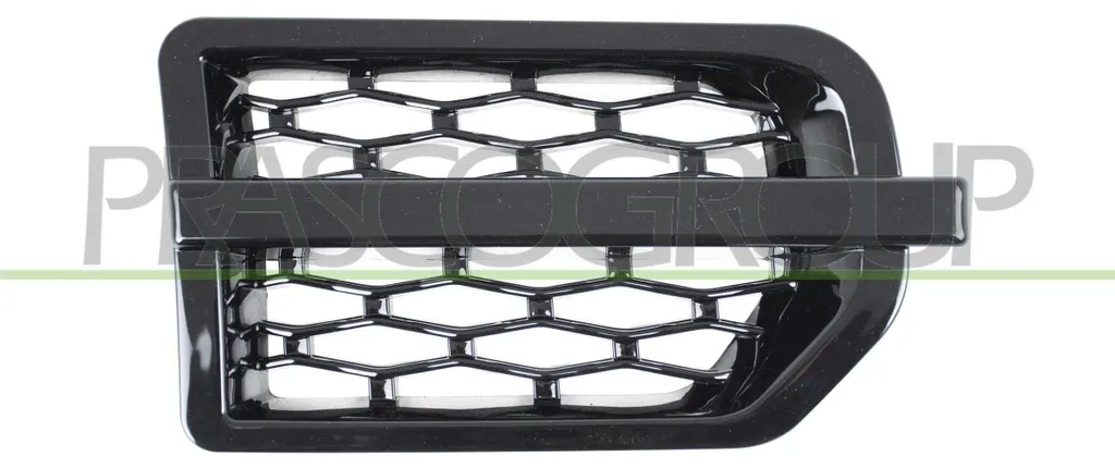Protection d'aile LR0301403 baguette décorative Land Rover Discovery 3