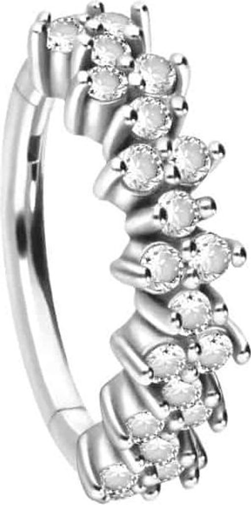 Ohrpiercing, Nasenpiercing, Septum Piercing Chirurgenstahl Segmentring Clicker EINGEFASSTE KRISTALLE Silber Innendurchmesser: 10 mm
