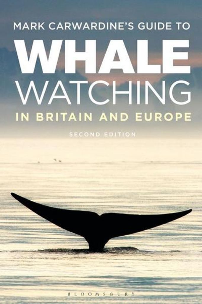 ISBN Mark Carwardine's Guide To Whale Watching In Britain Obrázok produktu 
