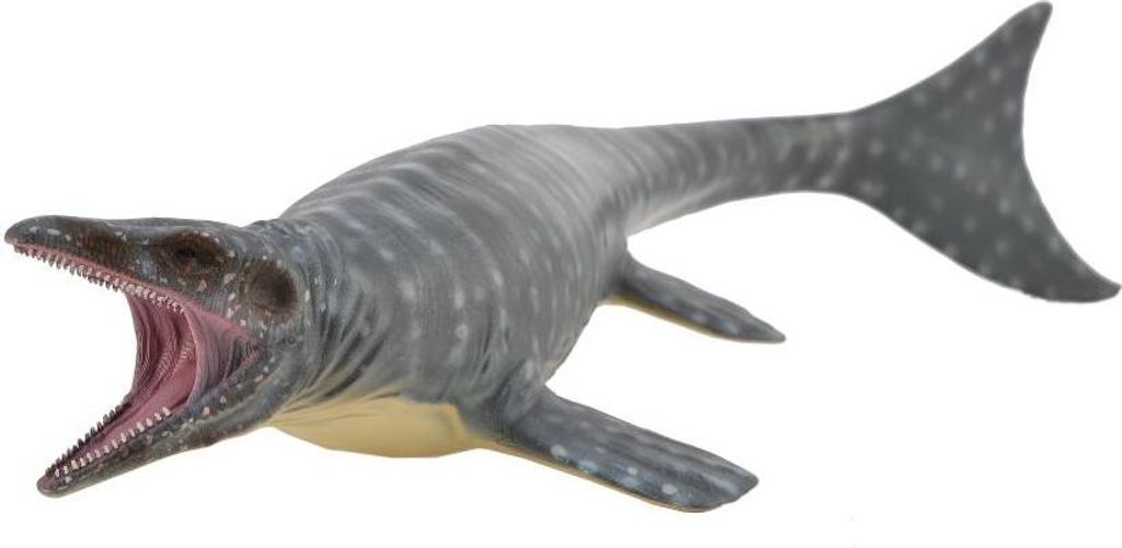 Mosasaurus Obrázek produktu 