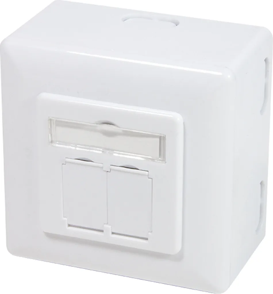 LogiLink scatola da incasso e da superficie Cat. 6, 2 x RJ45