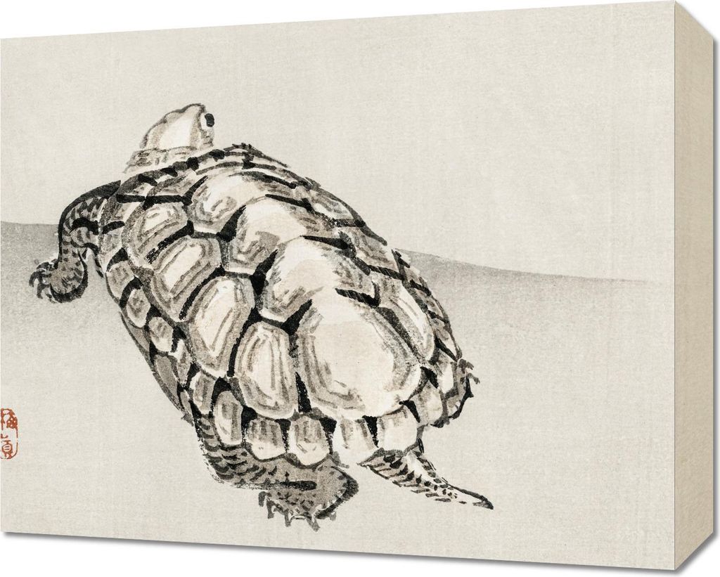 Bild 50x40cm Schildkröte, Kōno Bairei Japanisch Vintage für das Wohnzimmer