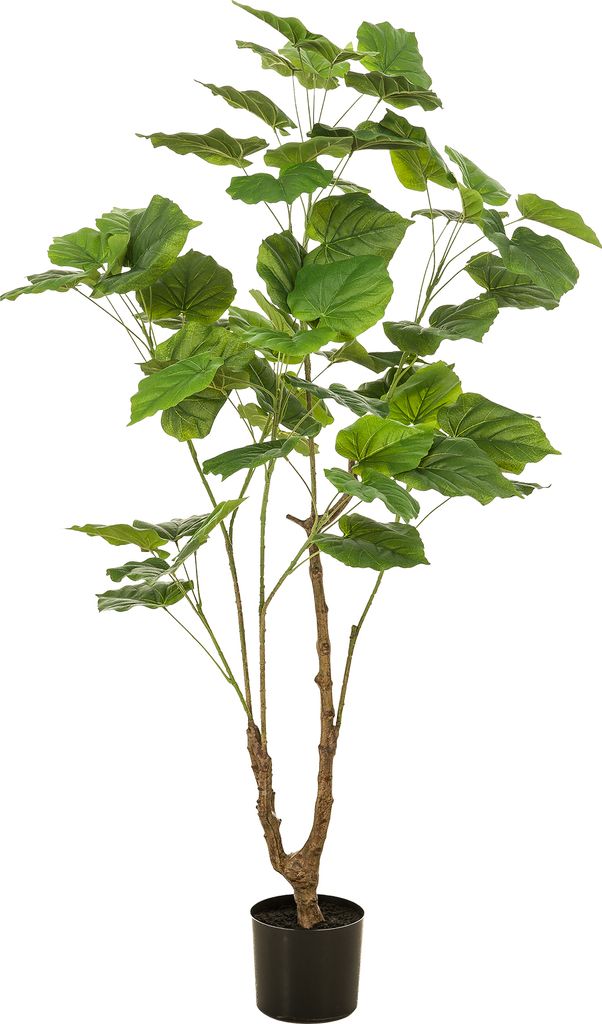 Green boutiQ - Kunstpflanze - Ficus umbellate - Afrikaanse vijg - 125cm - Grün - Pflegeleicht - Hohe Qualität