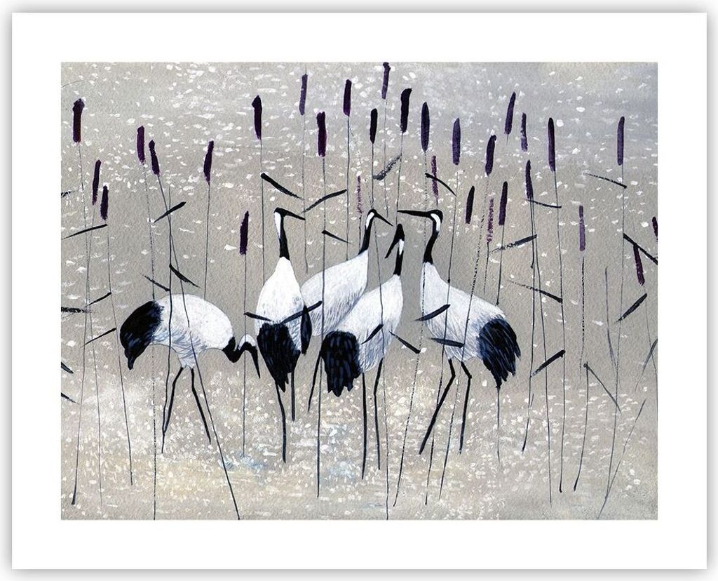 Poster - Poster ohne Rahmen - Vogel Natur Wasser - 50x40 cm - Wand Bild - Wanddeko - Wandbilder - Kunstposter - Wandposter - Bilder - Kunstdruck - ...