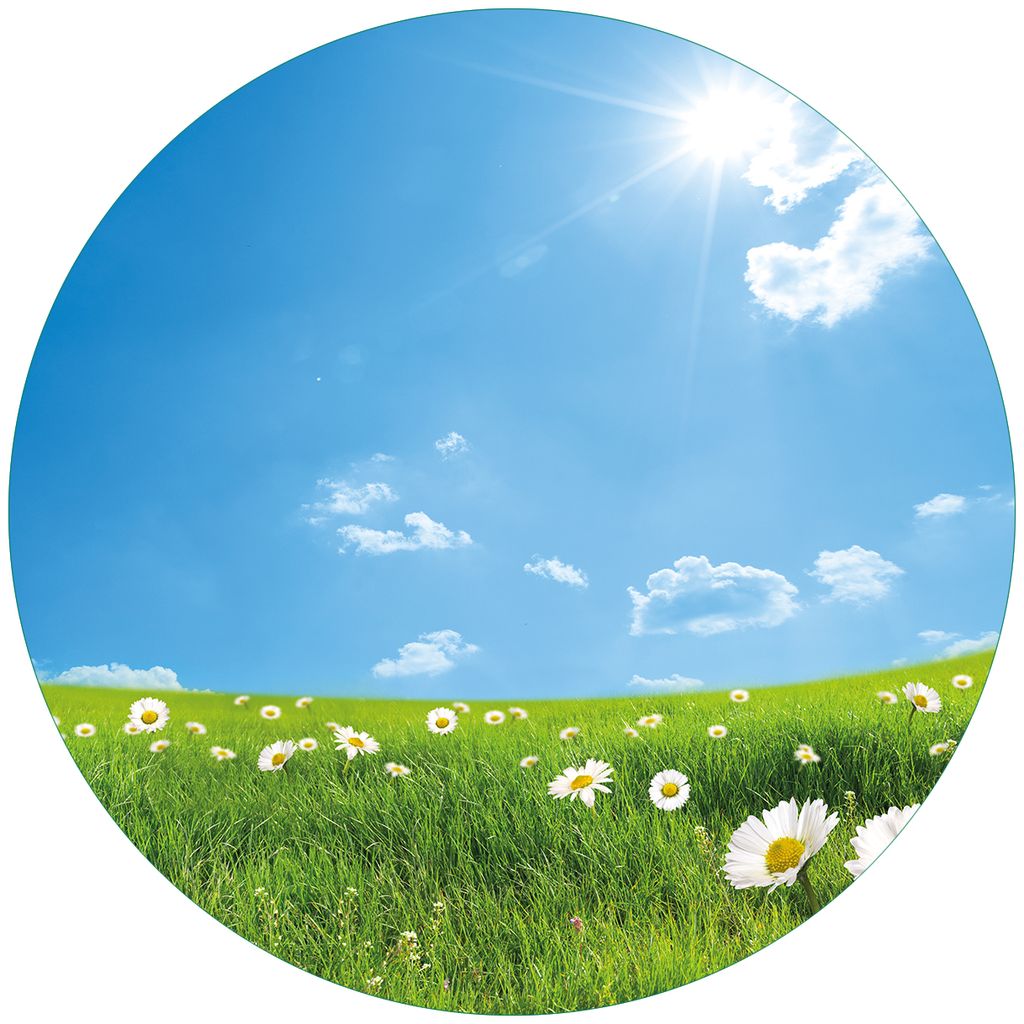 Wallario Premium Glasbild, freischwebende Optik, kräftige Farben, rund 50cm Durchmesser, Motiv Sommerwiese - Weiße Gänseblümchen vor blauem Himmel