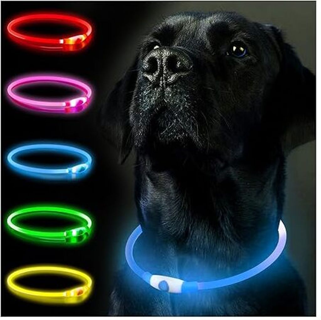 Leuchthalsband Hund, Hundehalsband Leuchtend Aufladbar, LED Halsband für Hunde Leuchtband Hund Einstellbare Größe Leuchthalsband,Lichtmodi Siche...
