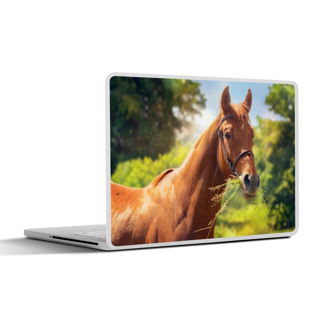 MuchoWow Laptop Aufkleber Sticker Cover Pferd - Licht - Porträt 36.5x27.5 cm - Laptop-Sticker
