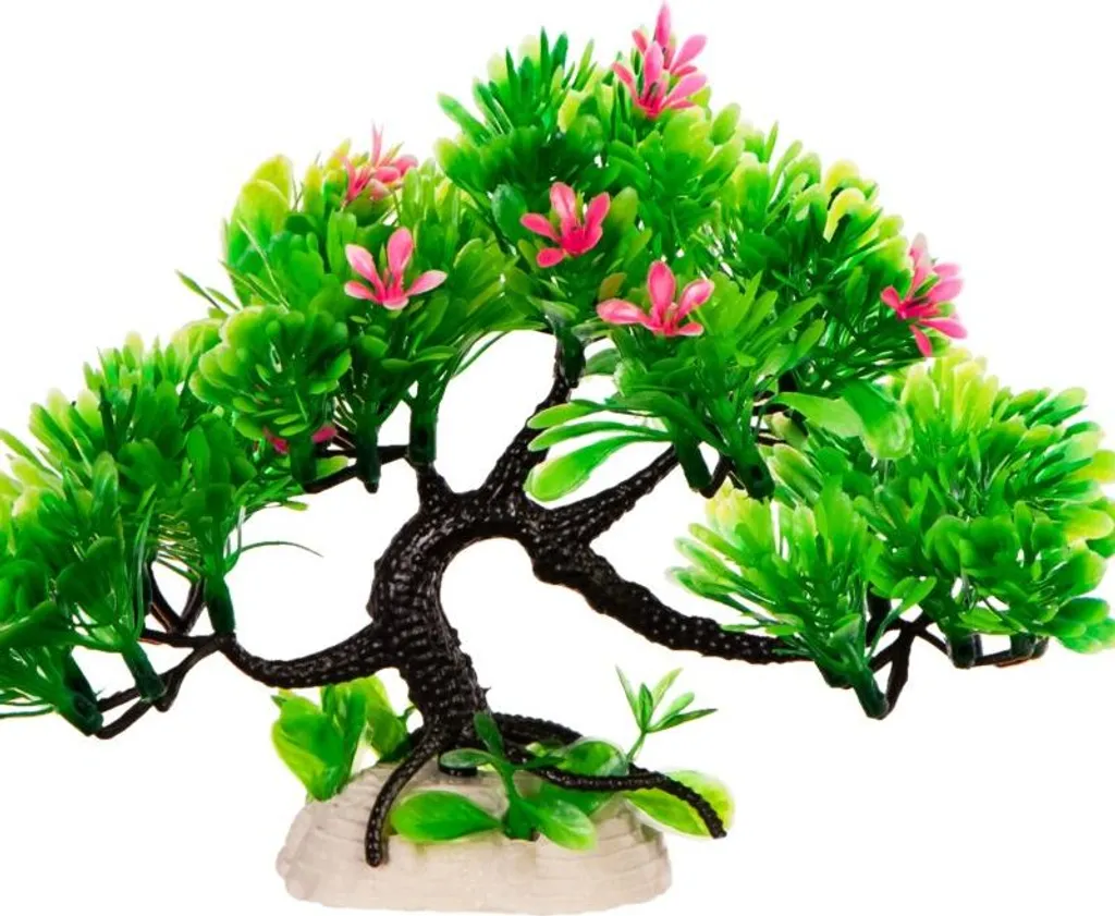 Plante rose pour aquarium pour créer des cachettes et zones de frai idéales