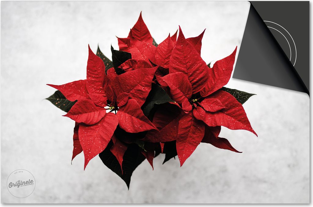 Induktionsschutz 90x52 - abdeckplatte Induktion matt- Dietrix Kochfeldschutz- DELUXE - Weihnacht- Weihnachtenster Pflanze