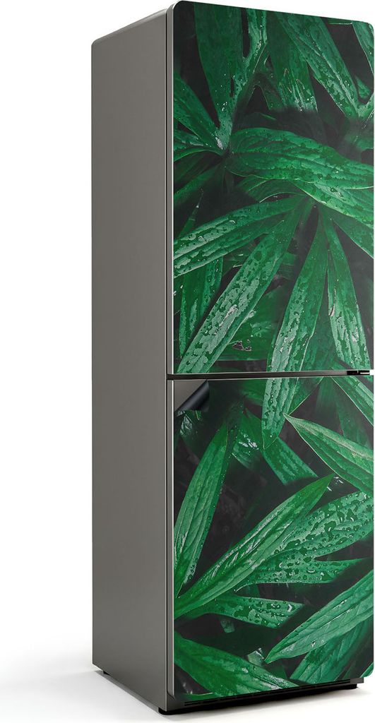 Blätter mit Wassertropfen – Magnetische Kühlschrank Abdeckung – Dekorfolie magnetisch Küche – Kühlschrank Magnet Deko – selbstklebende ...