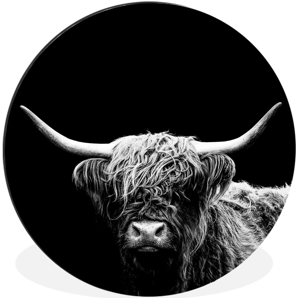 MuchoWow Aluminium Wandkreis Schottischer Highlander - Kuh - Schwarz - Weiß - Tiere Ø 30 cm Wanddeko Modern Wohnzimmer - Wand Bild - Wohnzimmer...