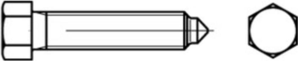 Reyher Sechskantschrauben DIN 564 22H/8.8 BM 16x50 SW 19 (25 Stück)