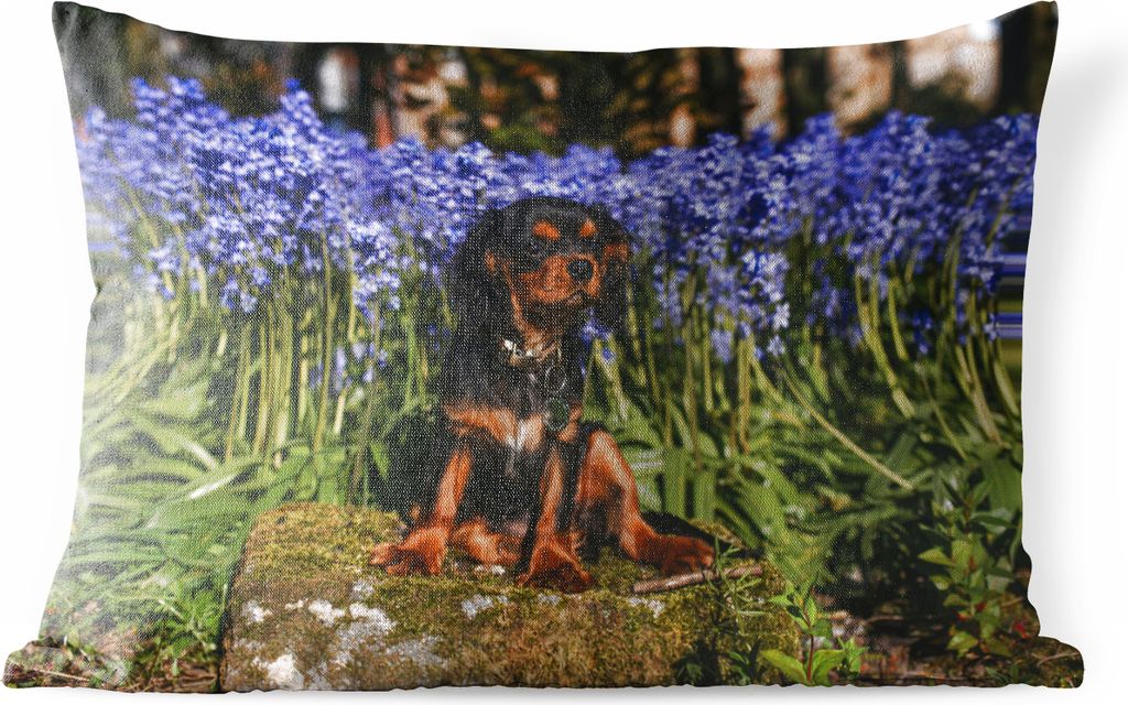 MuchoWow Outdoor Kissen - Ein Cavalier King Charles Spaniel zwischen den blauen Blumen - 60x40 cm - Wetterfest - Lounge Kissen - Zierkissen - Kis...