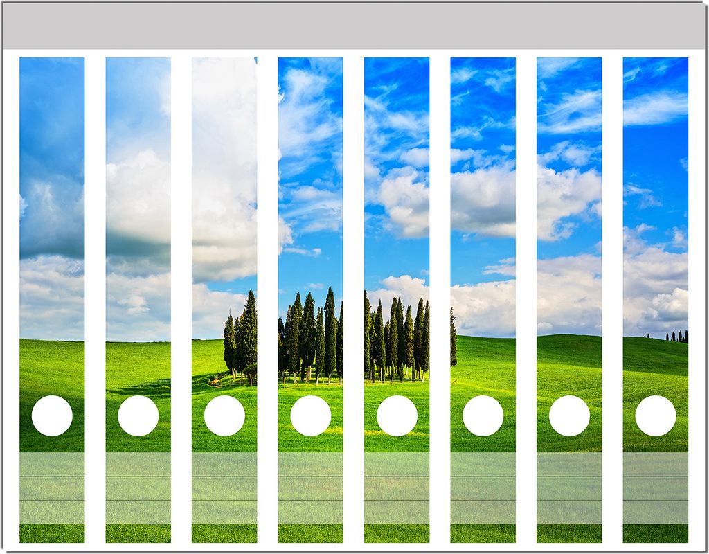 Wallario Ordnerrücken Sticker, selbstklebend für schmale Ordner, 8 Stück, Motiv Kleiner Wald inmitten einer weiten Wiese