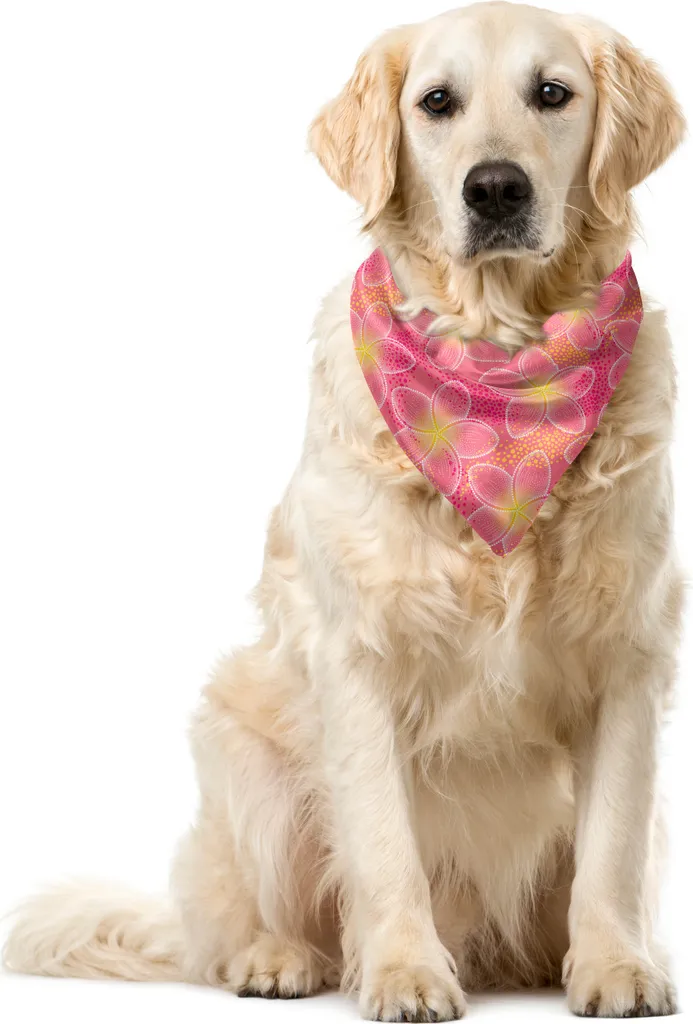 Bandana ABAKUHAUS Fiori di Plumeria - Regalo per Cani e Gatti Style