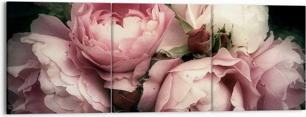 Bild auf Leinwand - Leinwandbild - Pfingstrose Blume - 150x50cm - Wand Bild - Wanddeko - Wandbilder - Leinwanddruck - Bilder - Kunstdruck - Wanddek...