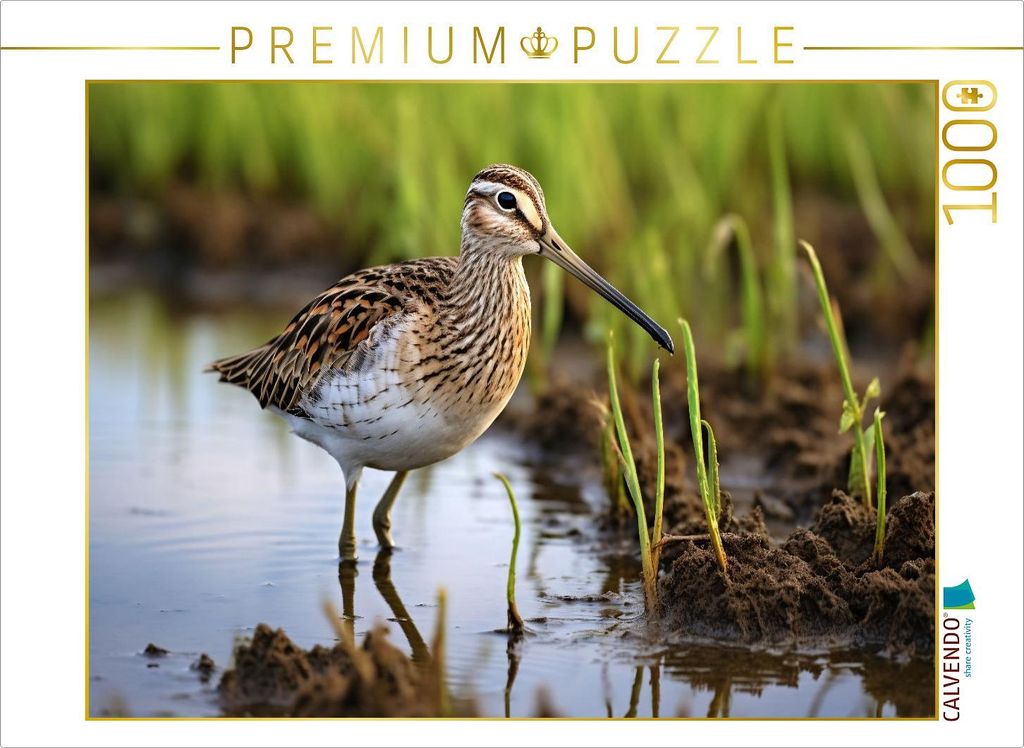 CALVENDO Puzzle Ein Motiv aus dem Kalender "Biotop zwischen Land und Meer" | 1000 Teile Lege-Größe 64x48cm Foto-Puzzle für glückliche Stunden