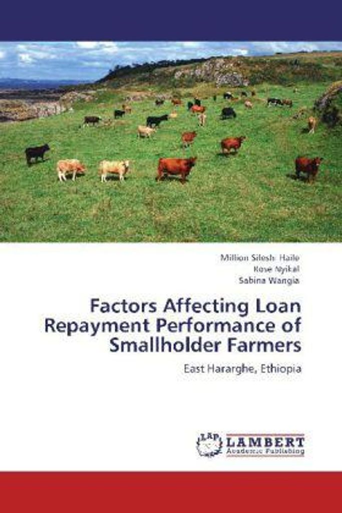 Haile, M: Factors Affecting Loan Repayment Performance of Sm