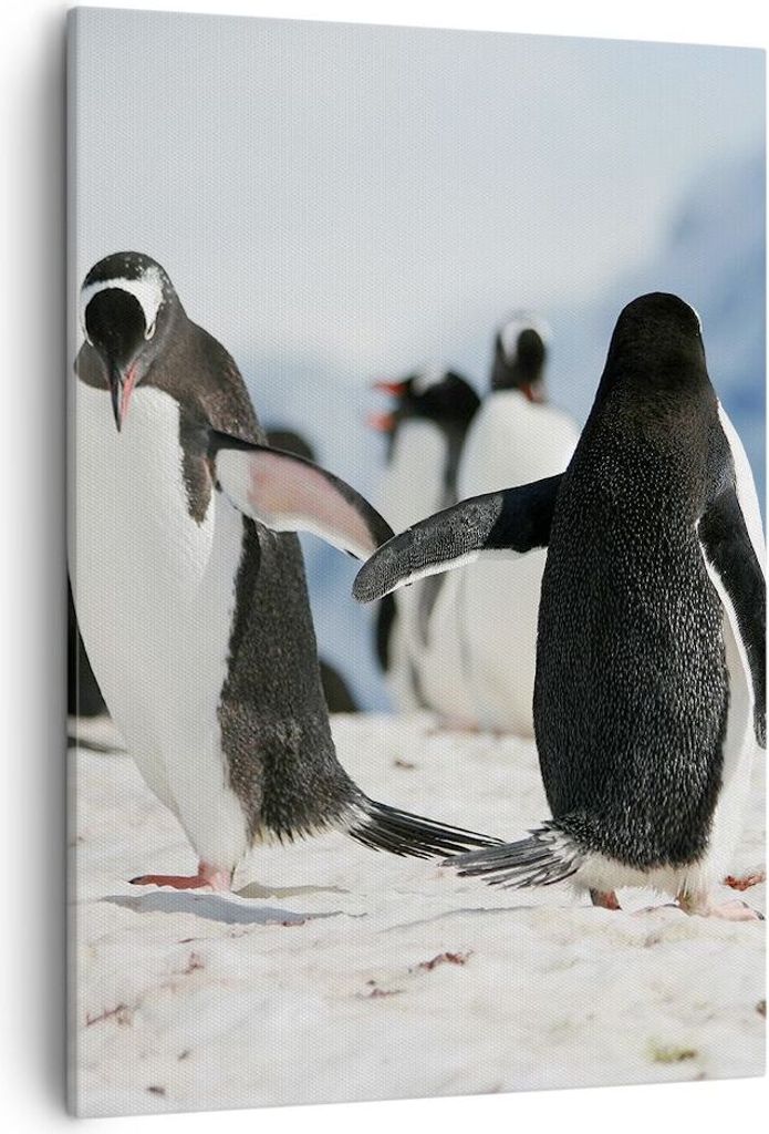 Bild auf Leinwand - Leinwandbild - Einteilig - Pinguine Winter Natur Schnee - 50x70cm - Wand Bild - Wanddeko - Wandbilder - Leinwanddruck - Wanddek...