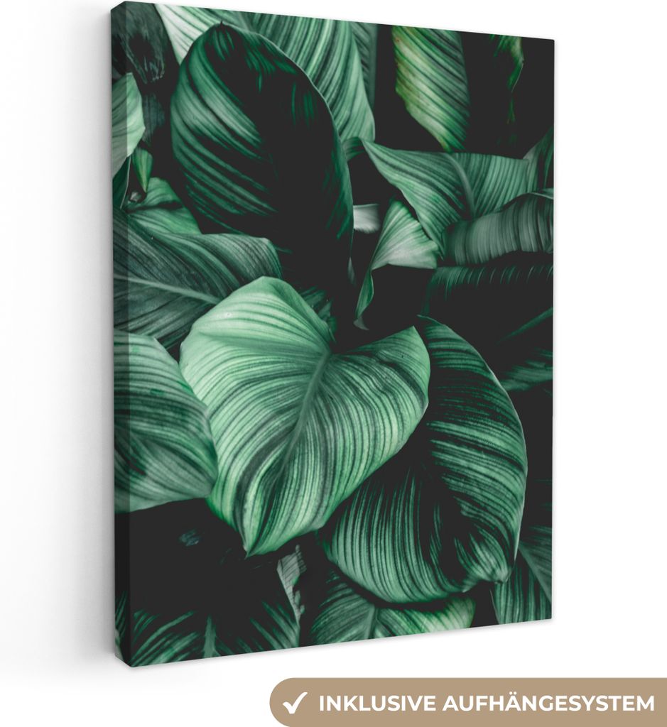 MuchoWow - Leinwandbilder - Dschungel - Blätter - Tropisch - Pflanzen - Natur, Wandbild, Wanddeko Bilder Wohnzimmer, 60x80 cm