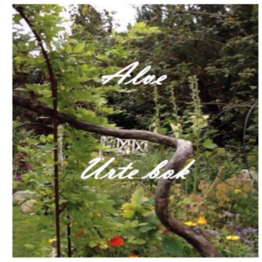Alve-Kräuterbuch