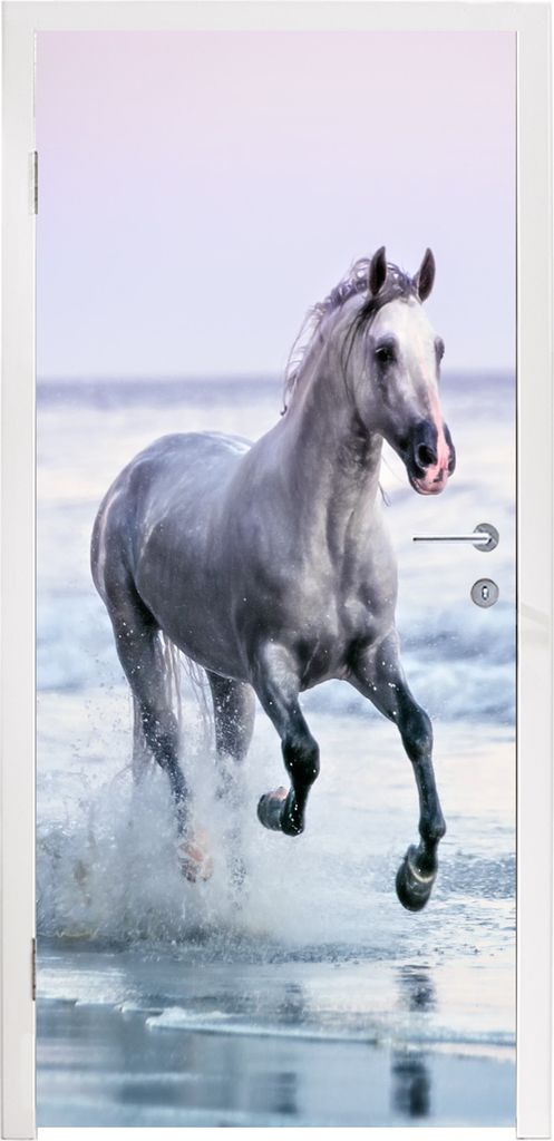 MuchoWow Türtapete Selbstklebende Türfolie Pferd - Meer - Pastell 90x235 cm Türposter Türaufkleber Klebefolie Türklebefolie - XXL-Plakaten -...