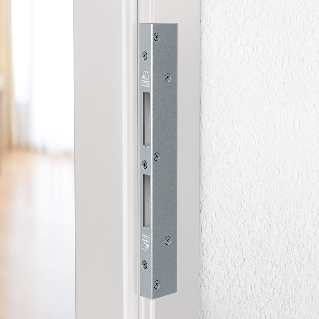 BASI RWS 300 - 40 mm, Einsteckschloss, Galvanisiertes Produktbild 