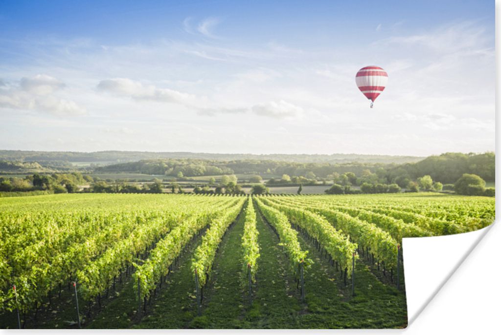 MuchoWow Poster Ballon - Traubenpflanze - Licht 90x60 cm - Schlafzimmer