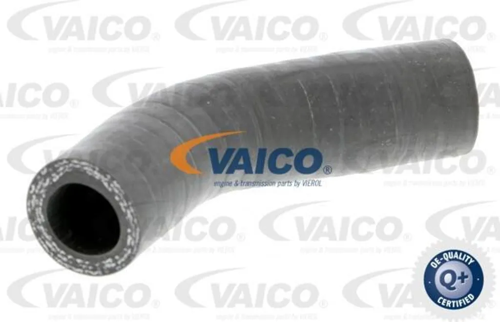 VAICO V24-0631 Manicotto Aria Sovralimentazione Compatibile Fiat/Alfa