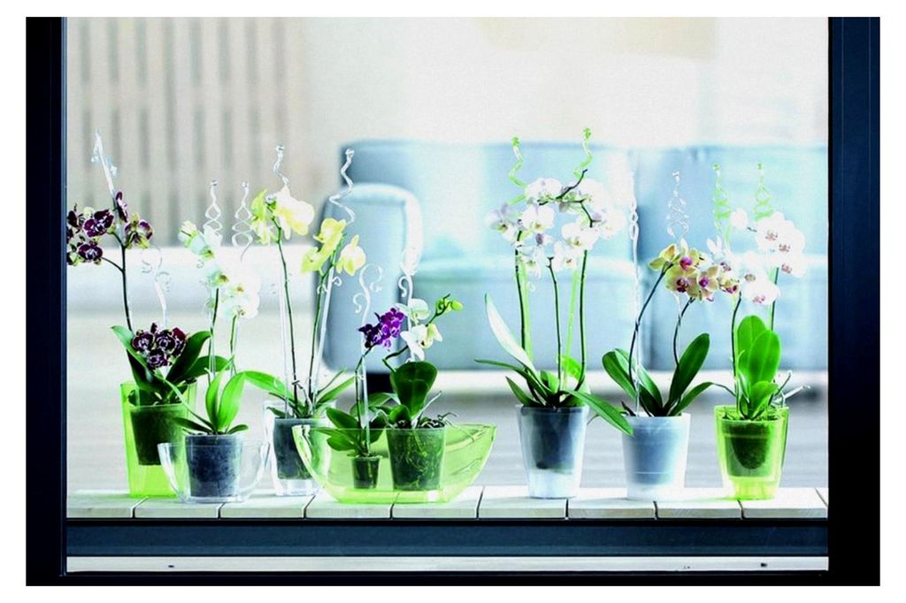 Orchideenstab, Unterstützung für Orchideen aus Kunststoff (58,5 cm, Transparent-Spiral)