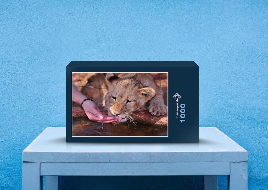 hansepuzzle 85267 - Löwe Puzzle, 1000 Teile, Natur, 60,0 x 46,0cm mit hochwertiger Aufbewahrung, Kartonbox und wiederverschließbarem Beutel