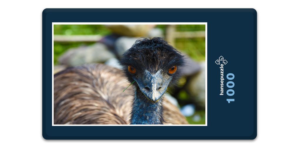 hansepuzzle 10327 - Vogel Puzzle, 1000 Teile, Natur, 60,0 x 46,0cm mit hochwertiger Aufbewahrung, Kartonbox und wiederverschließbarem Beutel
