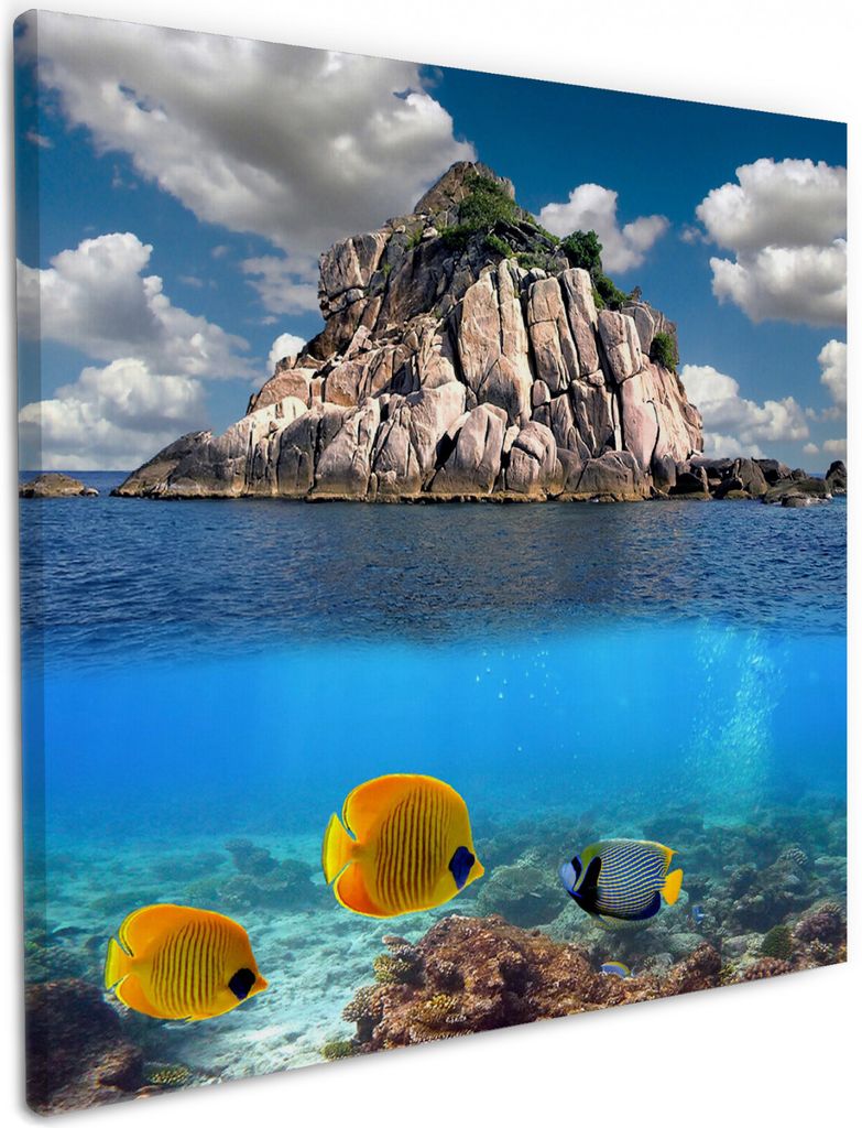 Wallario Premium Leinwandbild Exotische Fische im Meer in Größe 50 x 50 cm
