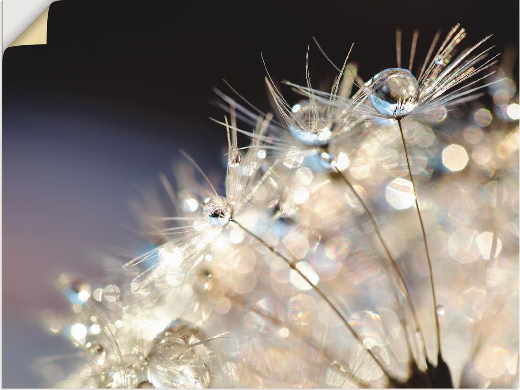 ARTland Wandbild, selbstklebend Pusteblume Fantasie Größe: 60x45 cm